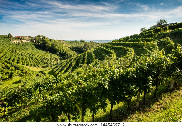 Casa Roman Italia - Sfeer & Omgeving